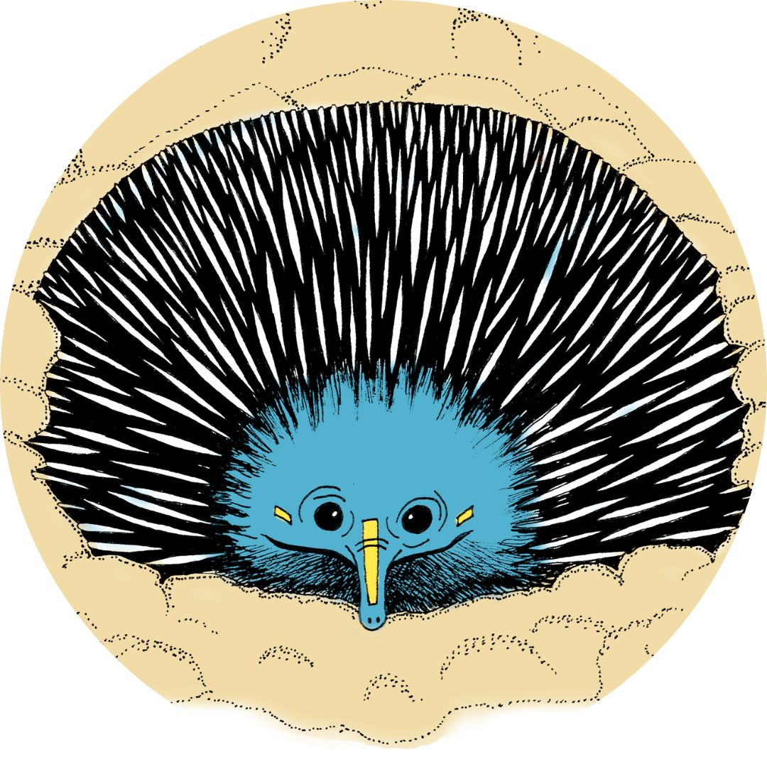 "Echidna SLC" Greeting card